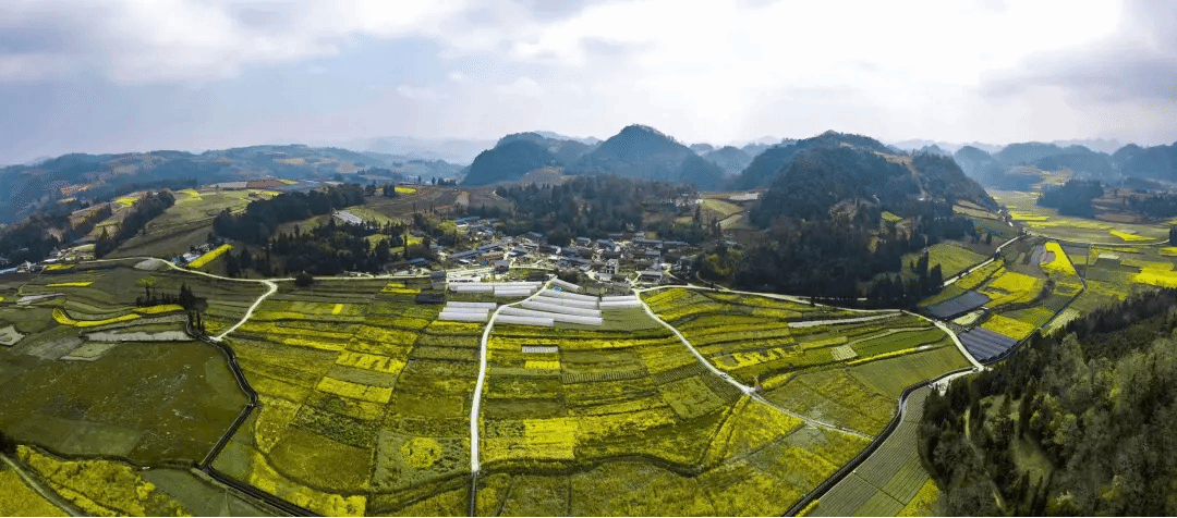 利来集团(中国)_来利国际w66旗舰厅