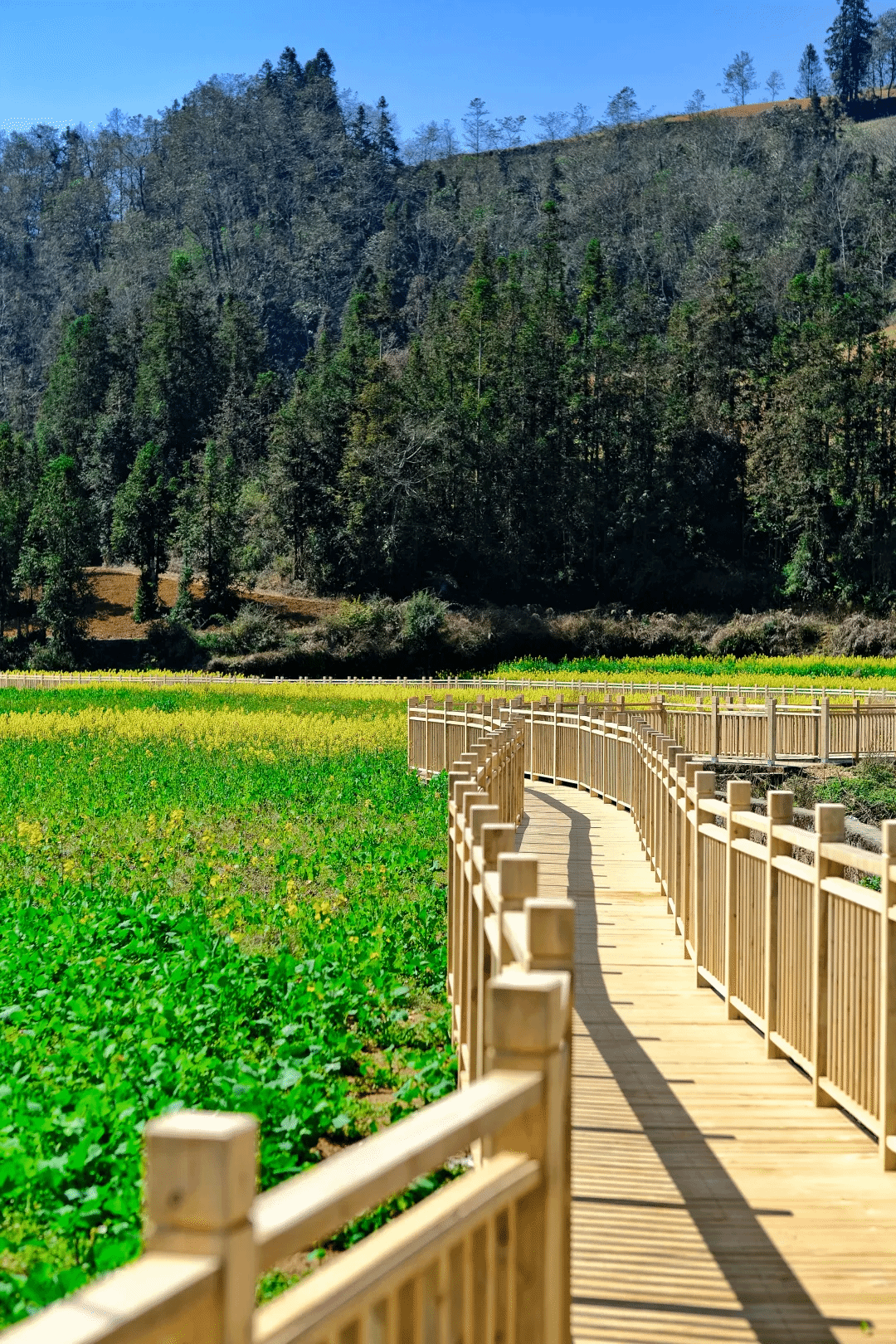 利来集团(中国)_来利国际w66旗舰厅