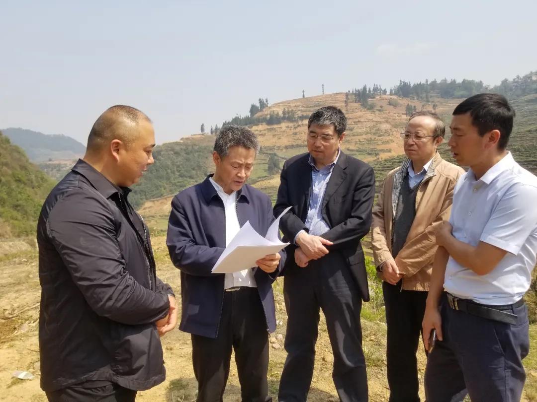 利来集团(中国)_来利国际w66旗舰厅